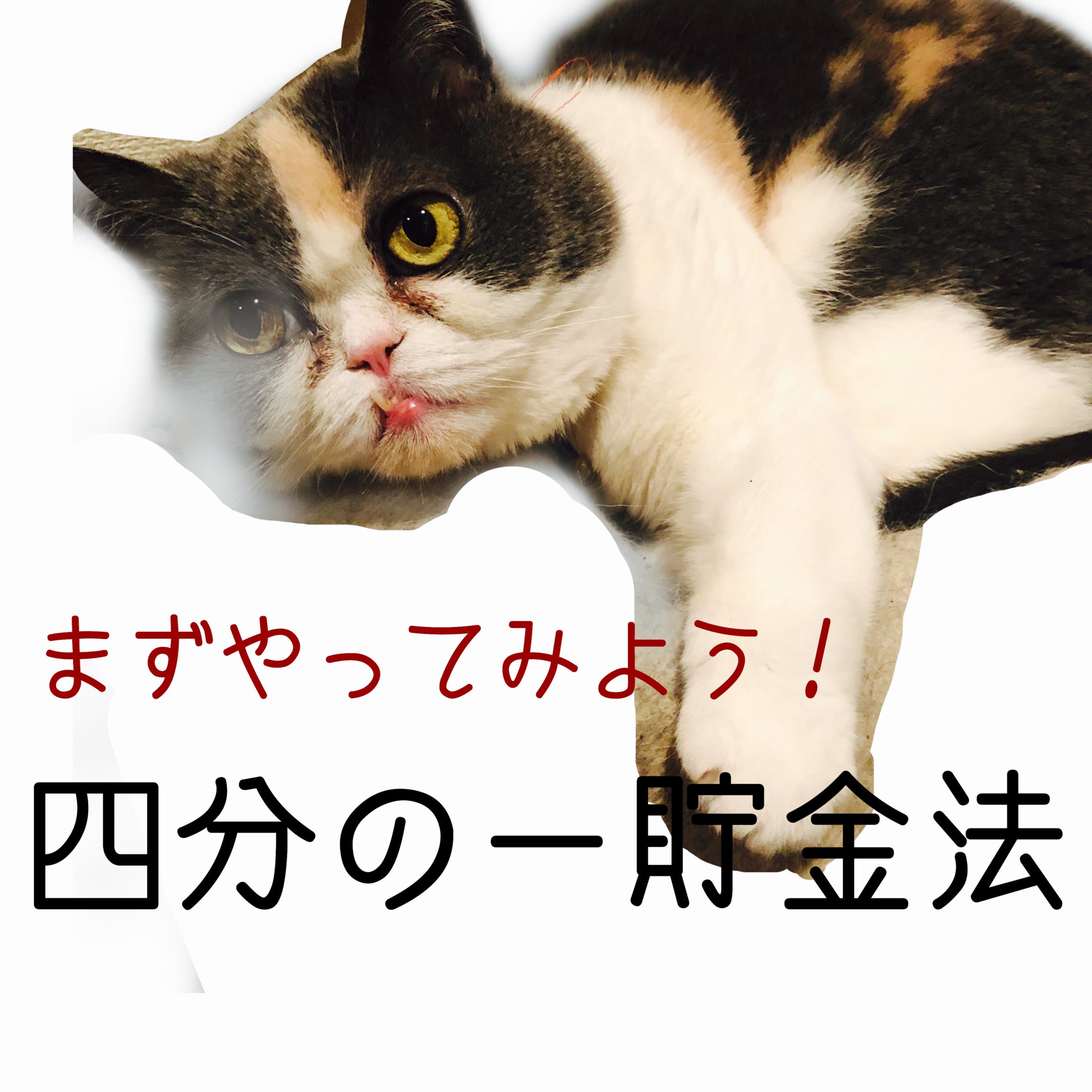 【四分の一貯金法】投資資金はこう貯める。